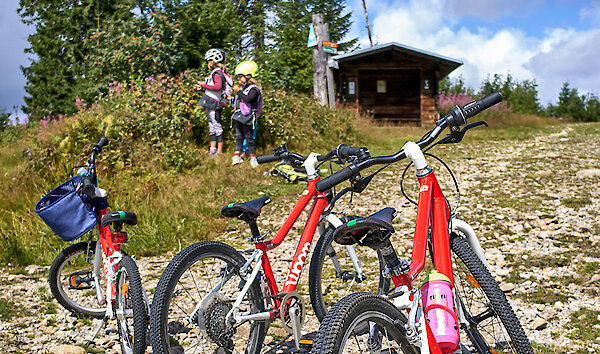Pause unter einem Baum bei der Radtour in Bayern - © Shutterstock - Dudarev Mikhail